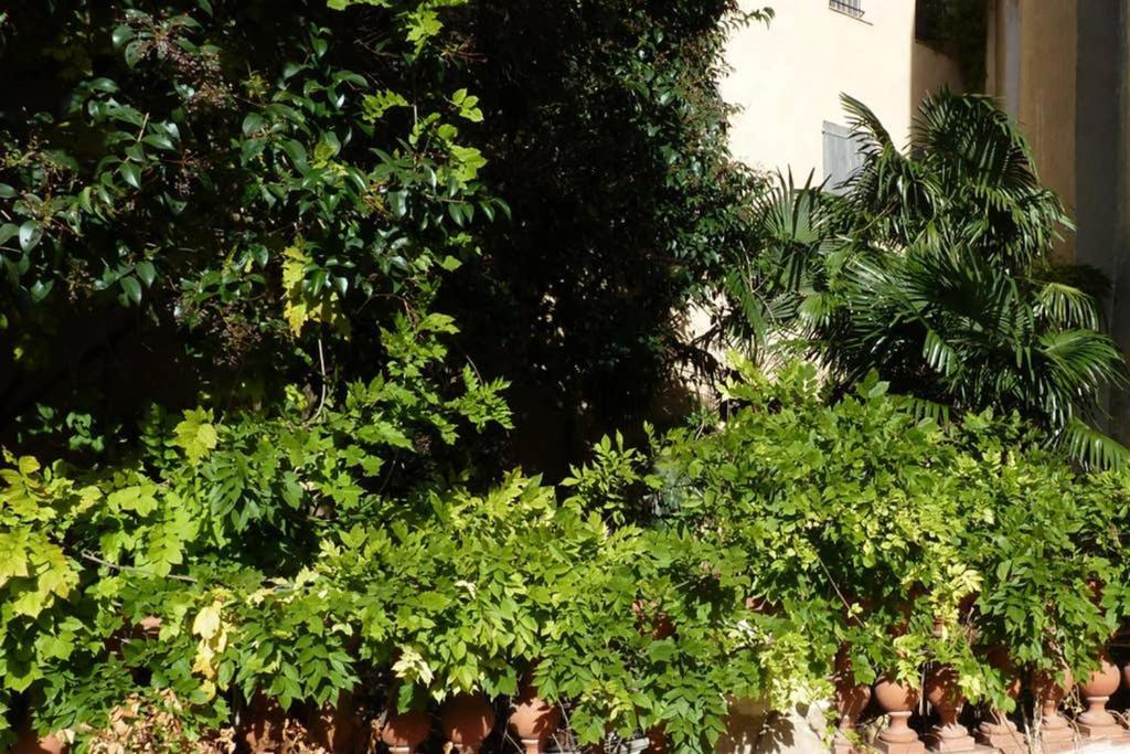 Exceptionnel! Havre De Paix Avec Jardin Et Terrasse Privatifs Au Coeur Du Centre Historique De Perpignan * Perpiñán