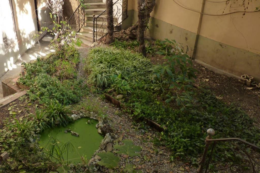 Exceptionnel! Havre De Paix Avec Jardin Et Terrasse Privatifs Au Coeur Du Centre Historique De Perpignan